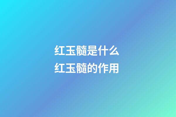 红玉髓是什么 红玉髓的作用